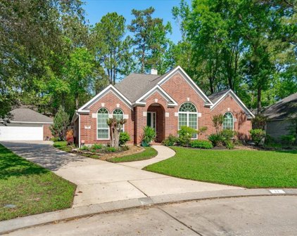 11 Mistral Wind Place, The Woodlands