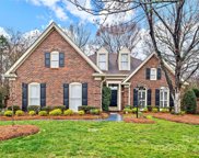 10417 Pullengreen  Drive, Charlotte image