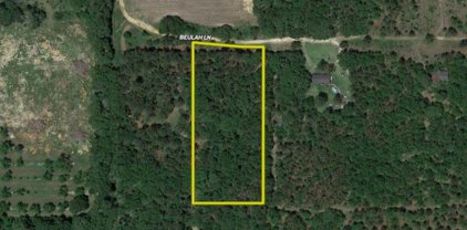 0000 BEULAH LN, Baconton