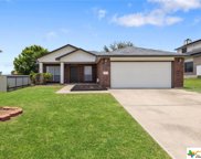 3021 Rain Dance Loop, Harker Heights image
