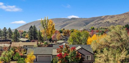 4323 Hells Bells Road, Carson City
