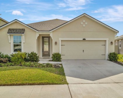 11557 Cedar Valley Drive, Riverview