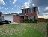 8700 Cove Meadow  Lane, Fort Worth image