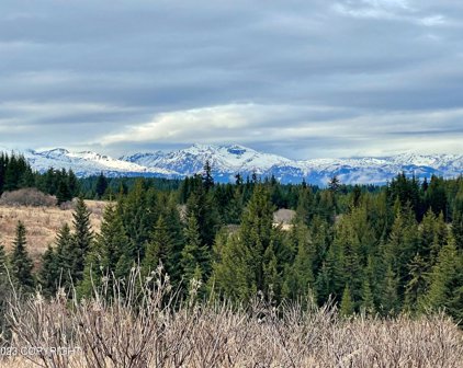 00000 Da Mar Loop, Homer