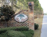 Lot 190 The Trace S/D, Hattiesburg image