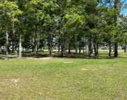 30663 Wild Iris Way  Way image
