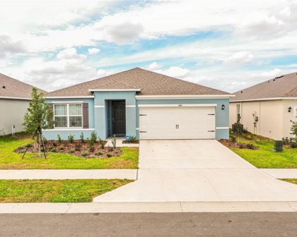 3843 Resting Robin Avenue, Bartow