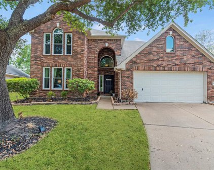 17550 Forest Vine Court, Tomball