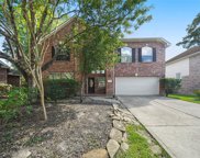 14 Raindance Court, The Woodlands image