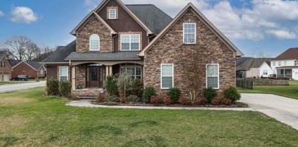 7990 Trout Lily Drive, Ooltewah