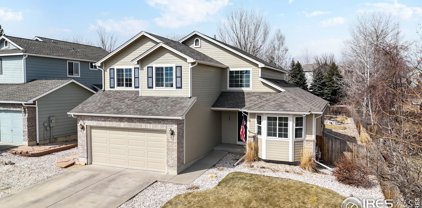 408 Triangle Dr, Fort Collins