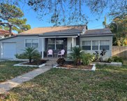 8335 Diagonal Road N, St Petersburg image