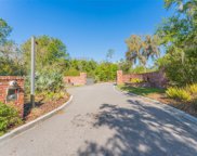 17723 Royal Eagle Lane, Lutz image