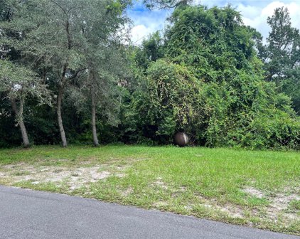 232 Colomba Road, Debary