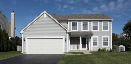 10416 Longfield Drive, Huntley