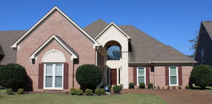 8037 Montrose Drive, Olive Branch