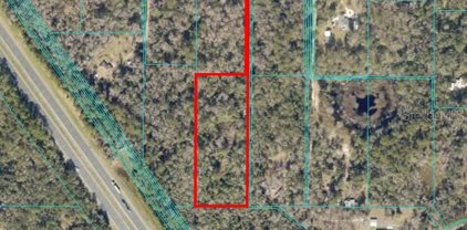 9550 Nw 230 Street E, Micanopy