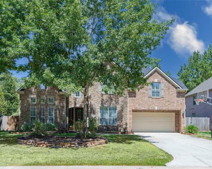 6 Pawprint Place, The Woodlands