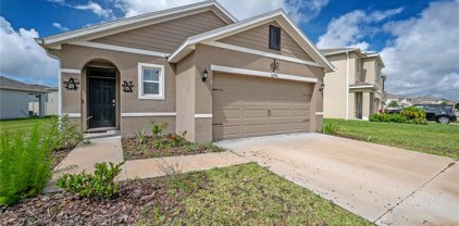 32740 Brooks Hawk Lane, Wesley Chapel