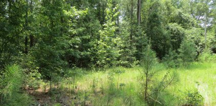 3213 Folly Grove Rd., Hemingway