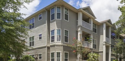 700 Daniel Ellis Drive Unit #12102, James Island