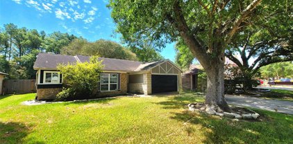 2615 Blue Mist Drive, Sugar Land