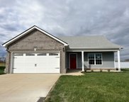 353 Cedar Springs, Clarksville image