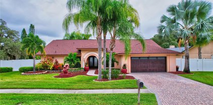 13709 Chestersall Drive, Tampa
