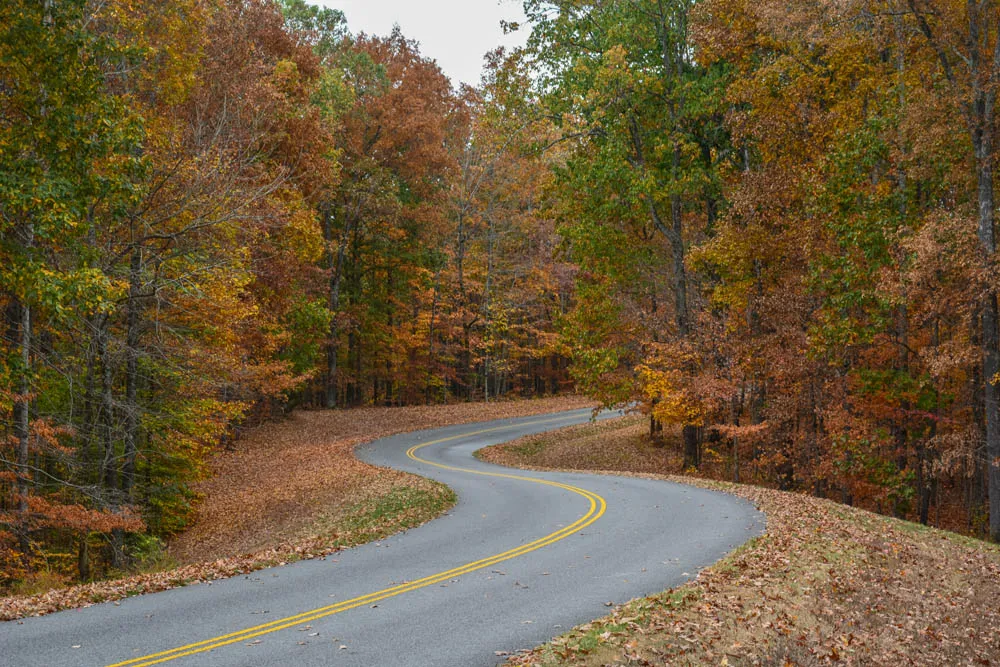 Buy a home in Western & Central Tennessee