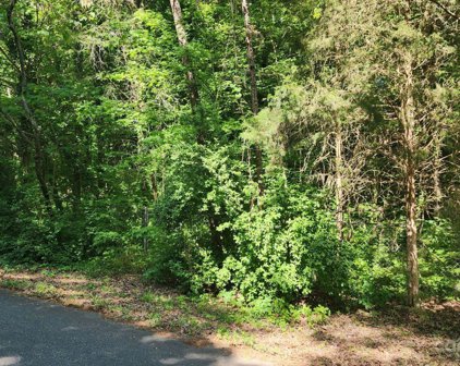 TBD Lurecliff  Place, Fort Mill