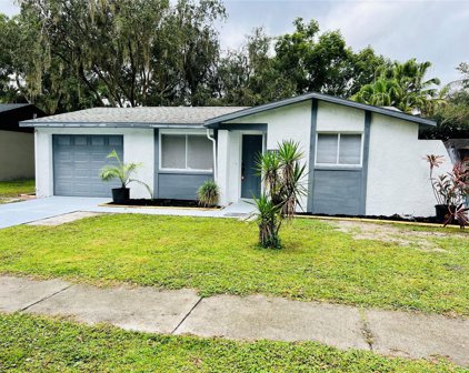 1149 Foxwood Drive, Lutz
