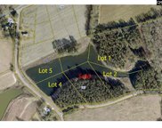 202 S Bethlehem Road Unit #Lot 5, Batesburg image