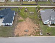 Lot 1731 Natural, Maumelle image