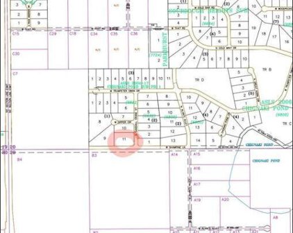 L11 B1 Shampine, Wasilla
