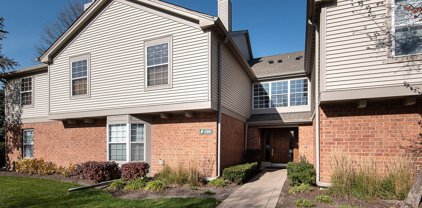 130 Crestwood Court Unit #1, Schaumburg