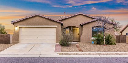 5000 E Butterweed, Tucson