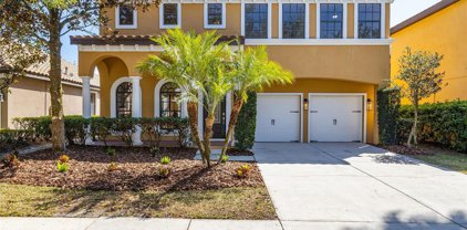 20305 Chestnut Grove Drive, Tampa