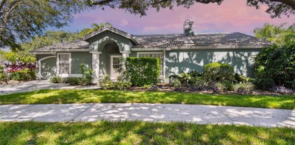 407 Georgetown Place, Safety Harbor