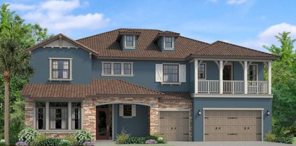 18435 Belfair Glen Place, Lutz