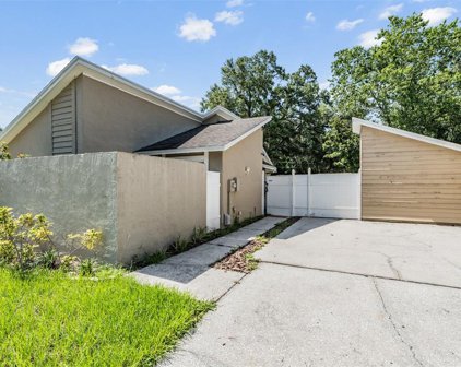 1955 Gregory Drive, Tampa