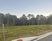 Lot 8 Spring Creek Cove, Guntersville image