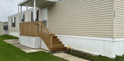 220 Pheasant, Grand Blanc