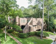 33 Litchfield Lane, Houston image