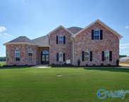 17268 Stonegate Drive, Athens image