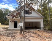 305 Newberry Drive, Chapin image