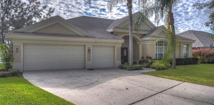 10314 Carroll Cove Place, Tampa