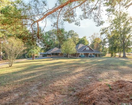 18080 Cliff Meredith Road, Andalusia