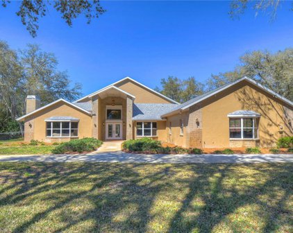 1241 Maximilian Avenue, Spring Hill