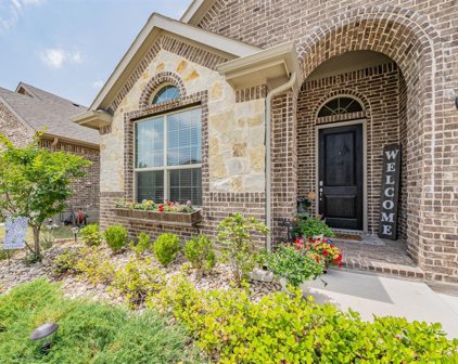 257 Mineral Point  Drive, Aledo