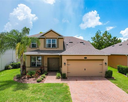 1600 Fox Grape Loop, Lutz